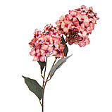 Гортензія "Трепетність" 92 см., рожевий ELISEY, фото 2