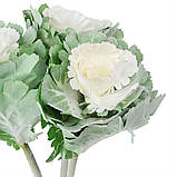 Брасика "Грація", біла ELISEY, фото 2