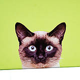 Набір коробок «Котячий дім» ELISEY, фото 2