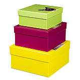 Набір коробок «Котячий дім» ELISEY, фото 5