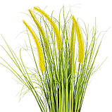 Декоративний очерет, жовтий ELISEY, фото 2