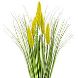 Декоративний очерет, жовтий ELISEY, фото 2