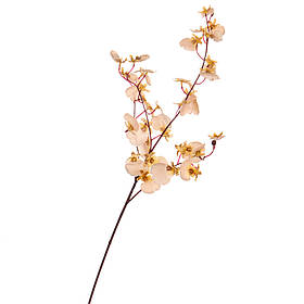 Букет "Тропічні квіти", пастельний ELISEY