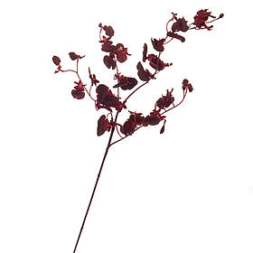 Букет "Тропічні квіти", бордовий ELISEY