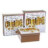 Набір з 3 коробок "Золото" 20*20*9,5 ELISEY, фото 2