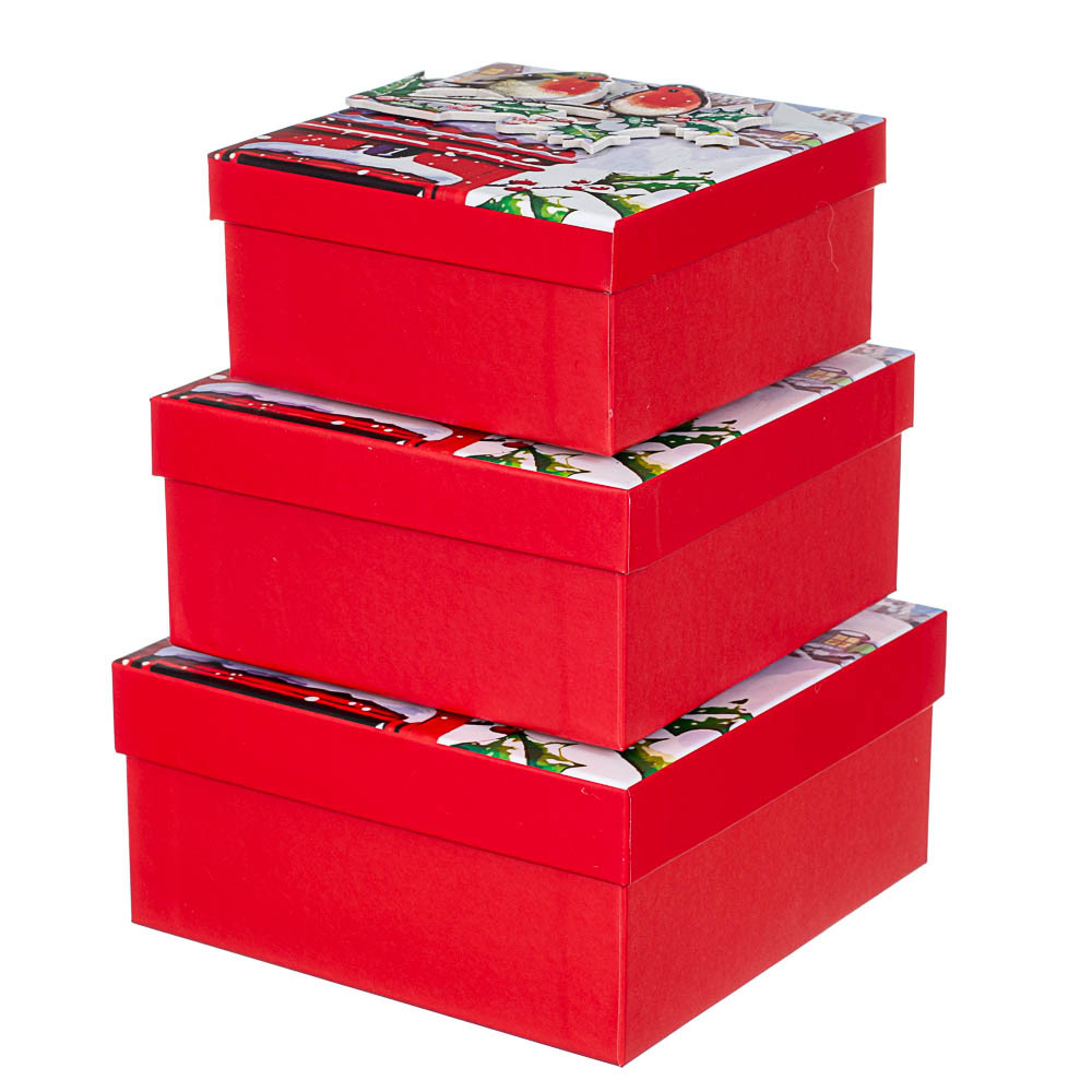 Набір з 3 коробок "Зимові пташки" 20*20*9,5 ELISEY, фото 1