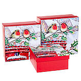 Набір з 3 коробок "Зимові пташки" 20*20*9,5 ELISEY, фото 2