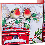 Набір з 3 коробок "Зимові пташки" 20*20*9,5 ELISEY, фото 3