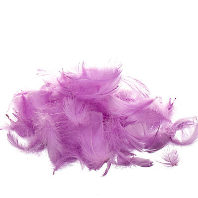 Наповнювач для коробок