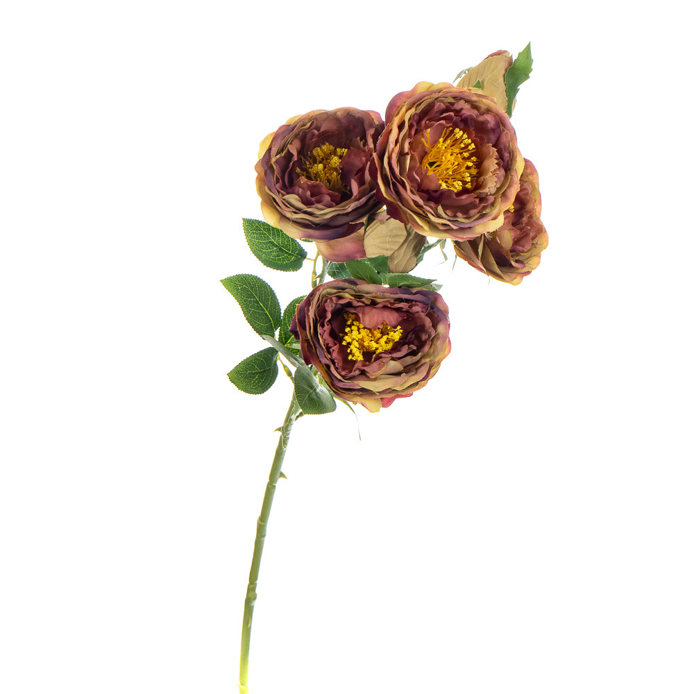 Букет "Півонії польові", ніжно-рожевий ELISEY, фото 1