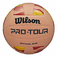 М'яч волейбольний Wilson Pro Tour VB Stripe р. 5 (WV2000501IBOF)