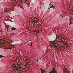 Картина стразами Dream Art Рожеві хризантеми (50 х 50 см) (DA-31868) 50 х 50 см (Без підрамника)