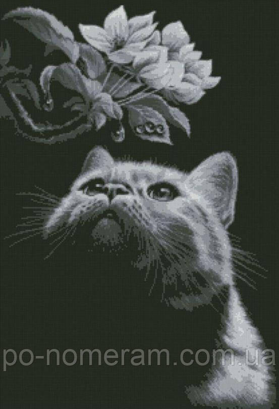 Картина стразами Dream Art Кіт із магнолією (52 х 76 см) (DA-31551) 52 х 76 см (Без підрамника)