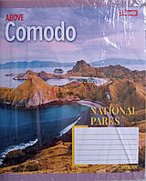 Зошит загальний 96 аркушів клітинка 1 Вересня