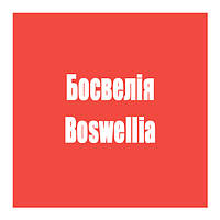 Босвелія (Boswellia)