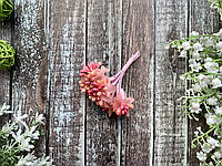 Сложные тычинки перламутр, около 12 шт/уп. розово-персикового цвета