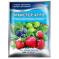 Комплексне мінеральне добриво Майстер-Агро для ягідних культур (100 г) (NPK 15.17.28)