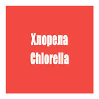 Хлорела (Chlorella)