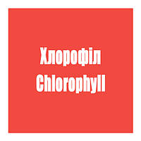 Хлорофіл (Chlorophyll)