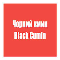 Чорний кмин (Black Cumin)