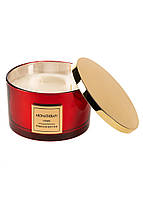 Преміальна ароматична свічка Pepco Aromatherapy Home Premium Edition аромат яблука та кориці, 1 кг червона
