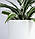 Горщик для квітів керамічний мінімальний дефект  "Цикорій" 5,5 л Білий матовий Rezon Р294, фото 2