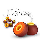 ⇒ Амбушюри мандаринки, силікон + піна для навушників KZ TRN TFZ KBEAR FiiO BGVP Sony, фото 8