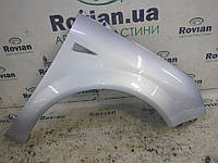 Крыло переднее правое (TED69) Renault SCENIC 2 2003-2006 (Рено Сценик 2), 8200020569 (БУ-246223)