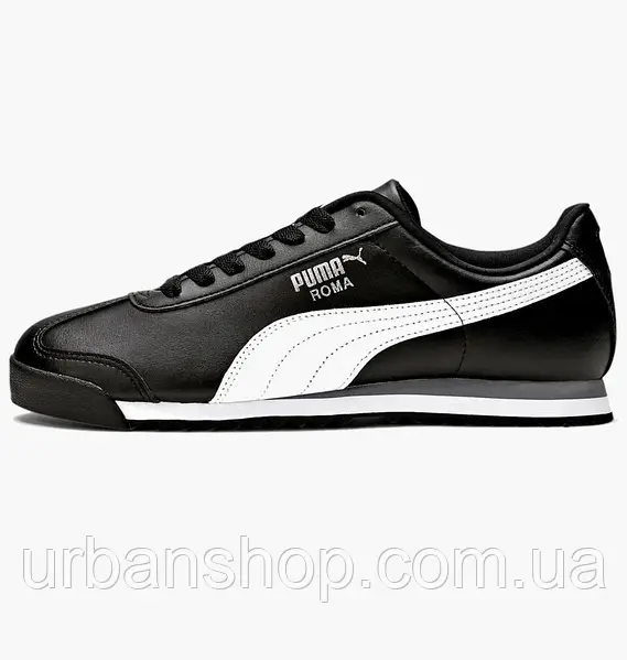 Roma basic hotsell