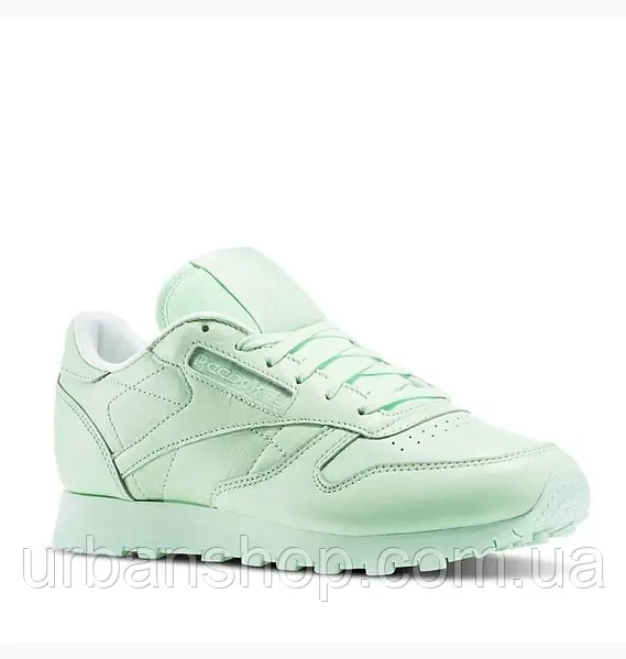 Reebok x spirit classic leather discount