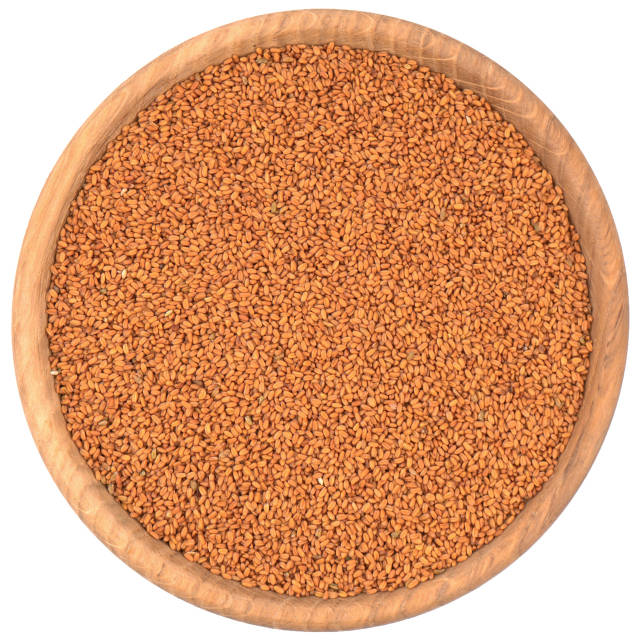 Үйдегі секс туралы бейнелерді қараңыз