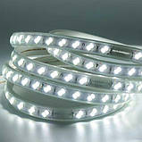 Світлодіодна LED стрічка PROLUM™ 220V; 5730\120; IP68; Series "S", Білий (5500-6000К), фото 2