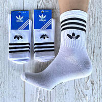 Носки молодежные спортивные высокие ADIDAS р 36-39 (1уп/12пар) "NEW SOCKS" купить оптом в Одессе на 7 км