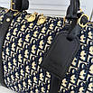 Стильна дорожня (спортивна) сумка Christian Dior, фото 8