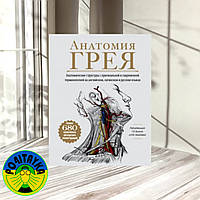 Габриэль Билич, Елена Зигалова: Анатомия Грея.