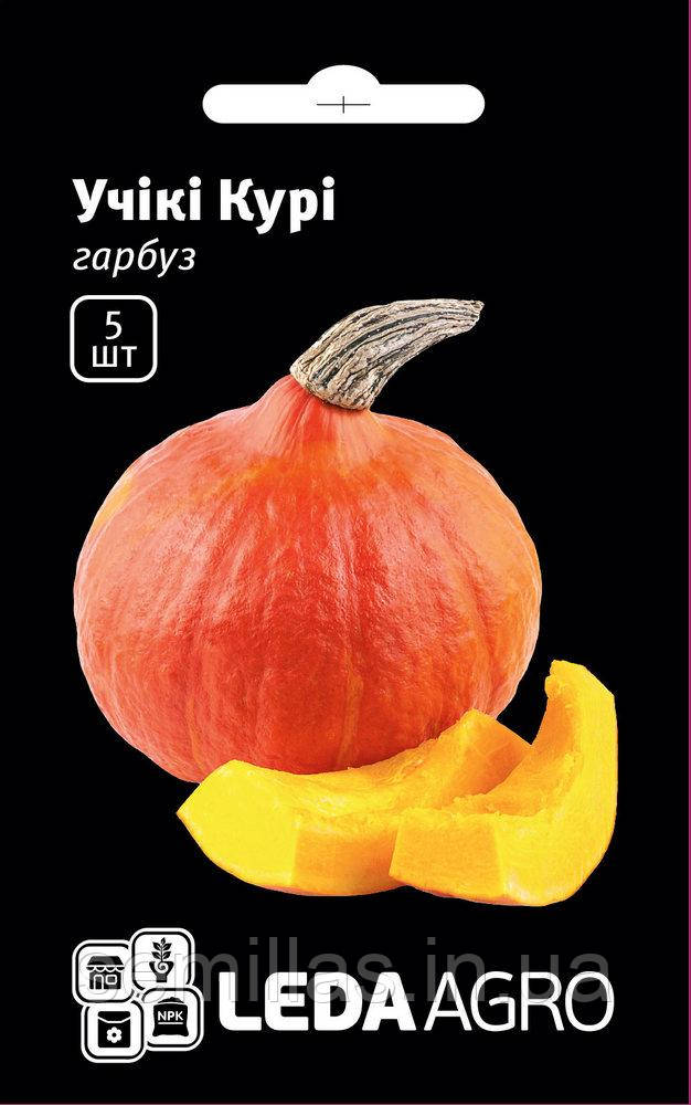 Насіння гарбуза Учікі Курі, 5 шт, Хоккайдо тип, ТМ ЛєдаАгро