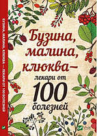 Бузина, малина, клюква-лекари от 100 болезней