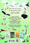 Велика книга птахів, фото 2