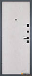 Вхідні двері модель Rail  Колір Кварцит + Рустик Авіньйон, фото 2
