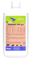 Интровит А+Орал витаминно - аминокислотный комплекс для КРС, мелкого рогатого скота, свиней и птиц, 1 л