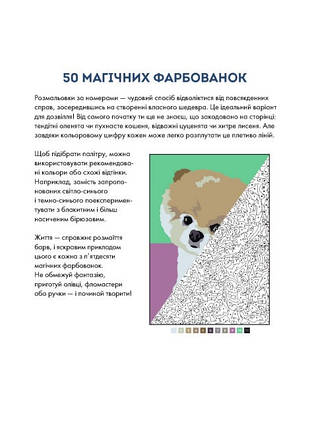 101056У Книга 50 магічних розмальовок за номерами Малюки, для дітей від 10 років, фото 3