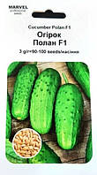 Семена огурца Полан F1 (Польша), 100 шт