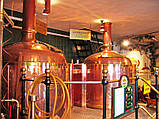 Бізнес із виробництва пива з натуральної сировини SALM, фото 2