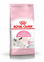 Royal Canin Mother & Babycat (Роял Канін бебі кет) корм для кішок та кошенят від 1 до 4 міс, 400 гр