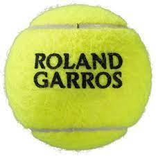 Мячи для тенниса Wilson Roland Garros All Court - фото 8 - id-p1873856331