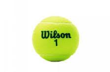 Мячи для тенниса Wilson Roland Garros All Court - фото 10 - id-p1873856331
