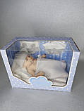 Реалістичний пупс у конверті, аксесуари, у коробці (8810-5), фото 8