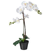 Искусственное растение в горшке ИКЕА ФЕЙКА Орхидея белый, 12 см 802.859.09