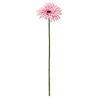 Цветок искусственный ИКЕА СМИККА ГЕРБЕРА, 50 см 304.097.71
