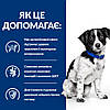 Корм Hill's PD Canine I/D Stress Mini Digestive Care 3 кг для собак з чутливим травленням у дорослих собак малих порід, фото 4